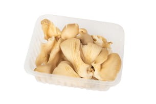 Boczniak - 250 g