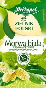 Herbapol Zielnik Polski Suplement diety Herbatka ziołowa Morwa biała - 40 g (20 torebek)