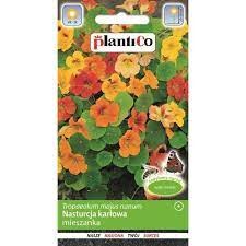 Plantico - Nasiona Kwiaty Nasturcja karłowa mieszanka - 5 g