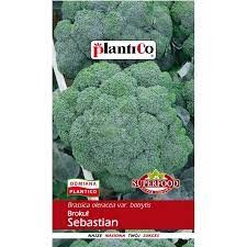 Plantico - Nasiona Brokuł Sebastian - 2 g