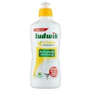 Ludwik - Płyn do mycia naczyń cyrtryna - 450 g