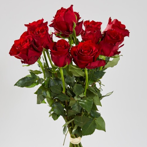 Róże 9 sztuk - szt.