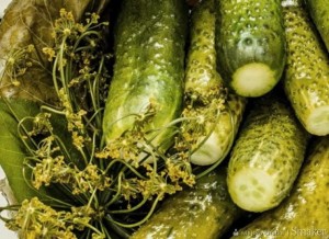 Ogórki małosolne - kg