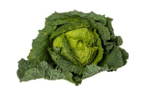 Kapusta włoska - szt