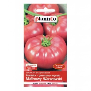  Plantico Pomidor Malinowy Warszawski nasiona - 0,5 g