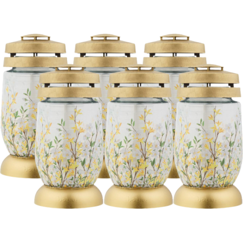 Bolsius - Znicz szklany Forsycje -  (1 sztuka)