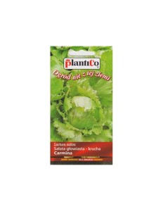 Plantico - Nasiona Sałata głowiasta krucha Carmina - 0,5 g