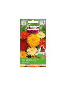Plantico - Cynia wytworna chryzantemowa mieszanka - 1 g