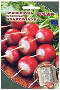 Polan - Rzodkiewka Krakowianka na taśmie -  (260 nasion)