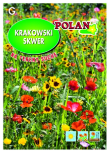 Polan - Mieszanka kwiatów Krakowski Skwer na tereny suche - 10 g
