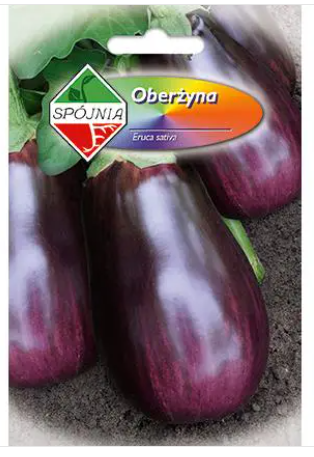 Spójnia - Oberżyna Bakłażan Black Beauty - 1 g