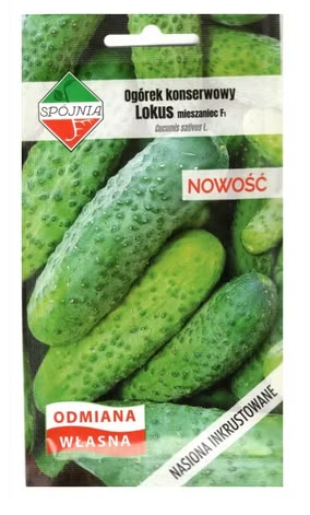 Spójnia - Ogórek konserwowy Lokus F1 - 5 g