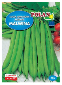 Polan - Fasola szparagowa karłowa zielona Malwina - 30 g