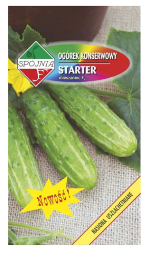 Spójnia - Ogórek gruntowy Starter F1 - 5 g