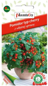 Plantico - Pomidor typ cherry kulisty czerwony nasiona - 0,1 g