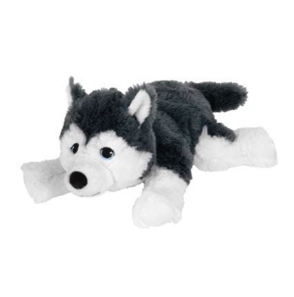 Livlig Pluszak, pies/siberian husky