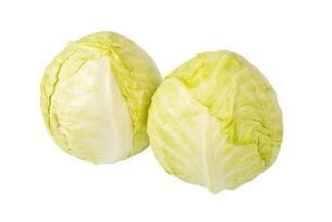 Kapusta biała - kg
