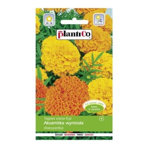 Nasiona Aksamitka wyniosła mieszanka - 1 g