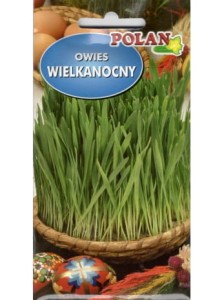 Nasiona Owies Wielkanocny - 20 g
