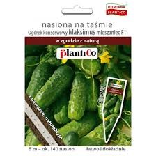 Nasiona na taśmie 5m Ogórek konserwowy Maksimus - szt (140 nasion)